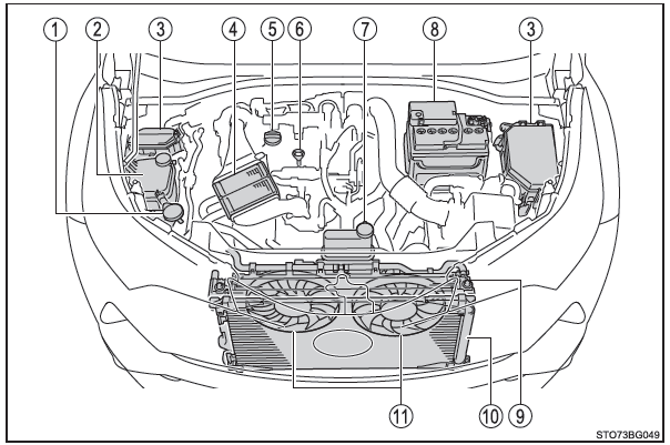 Toyota CH-R. Compartimento del motor 